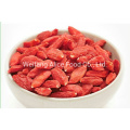 China Ningxia Organic Goji Berry Bulk Sell Gojiberry and Wolfberry